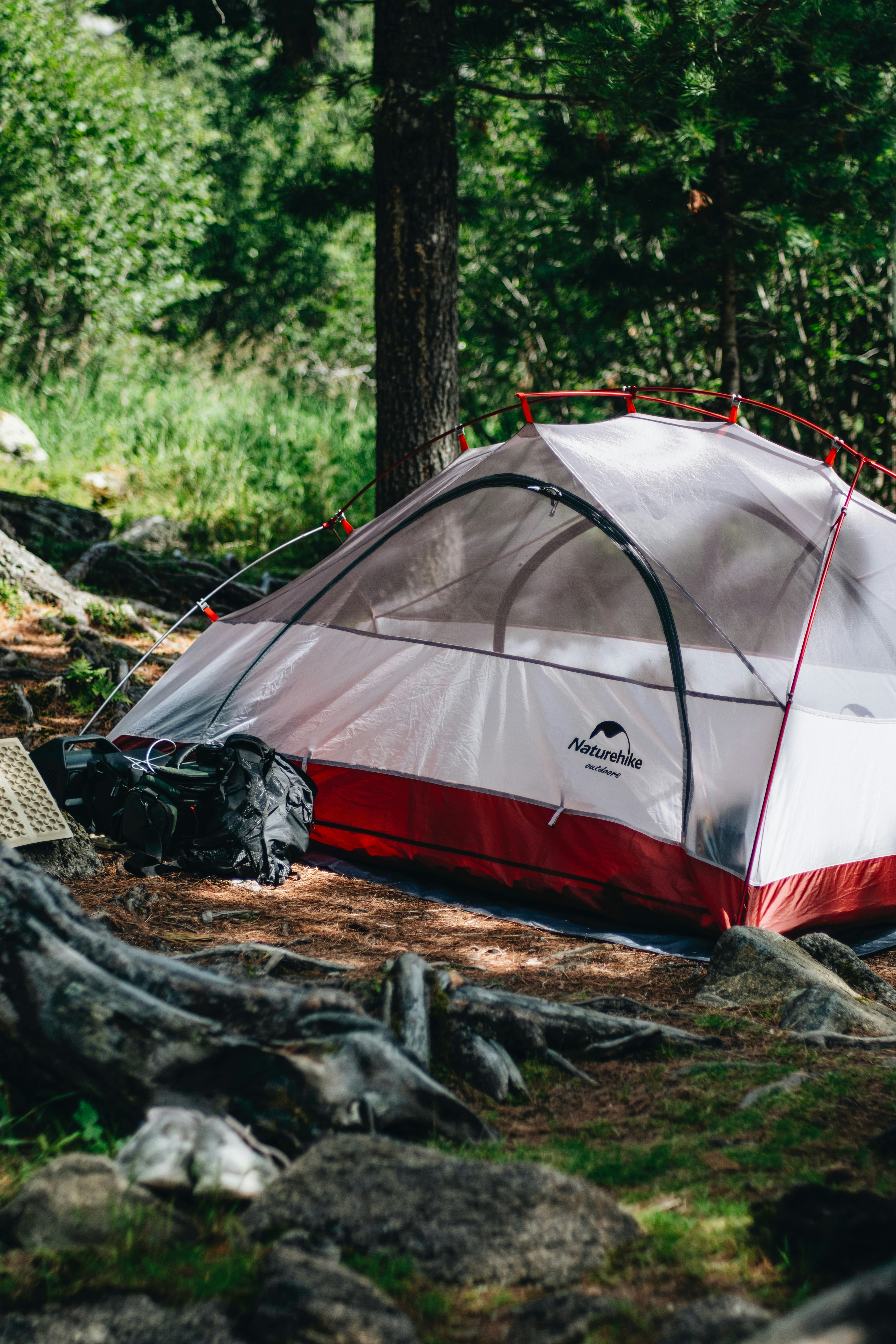 Beste telt 2026 – slik velger du riktig